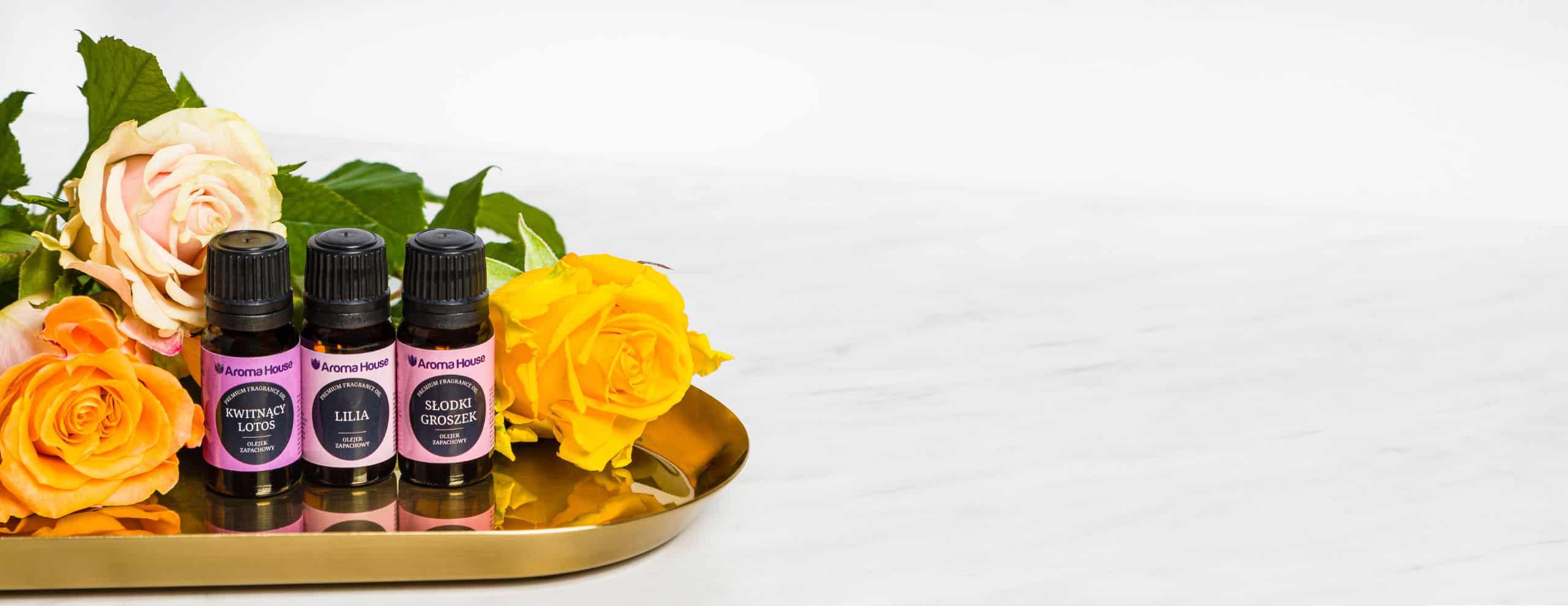header-2